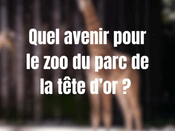 Quel avenir pour le zoo du parc de la Tête d'Or ?