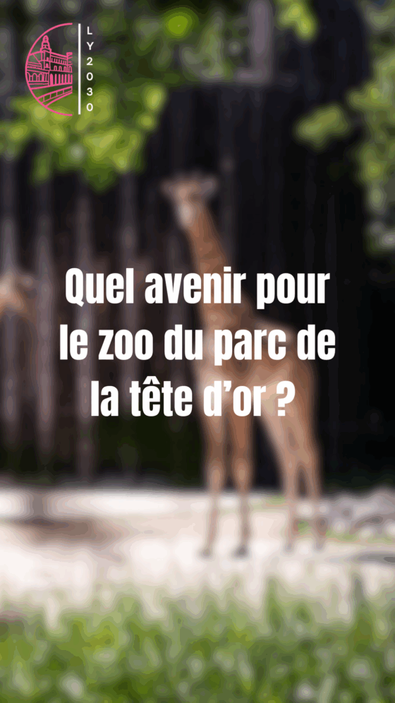 Quel avenir pour le zoo du parc de la TĂȘte d'Or ?